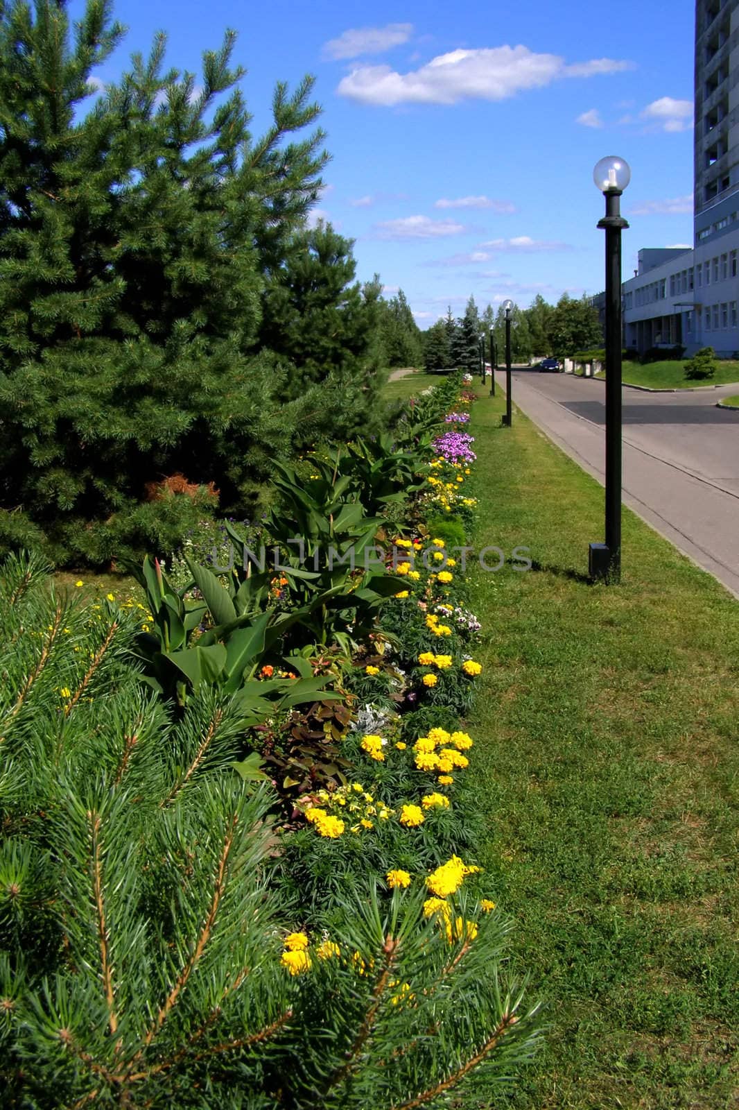 street in a sunny day with lanterns and flowers on the side of a road 