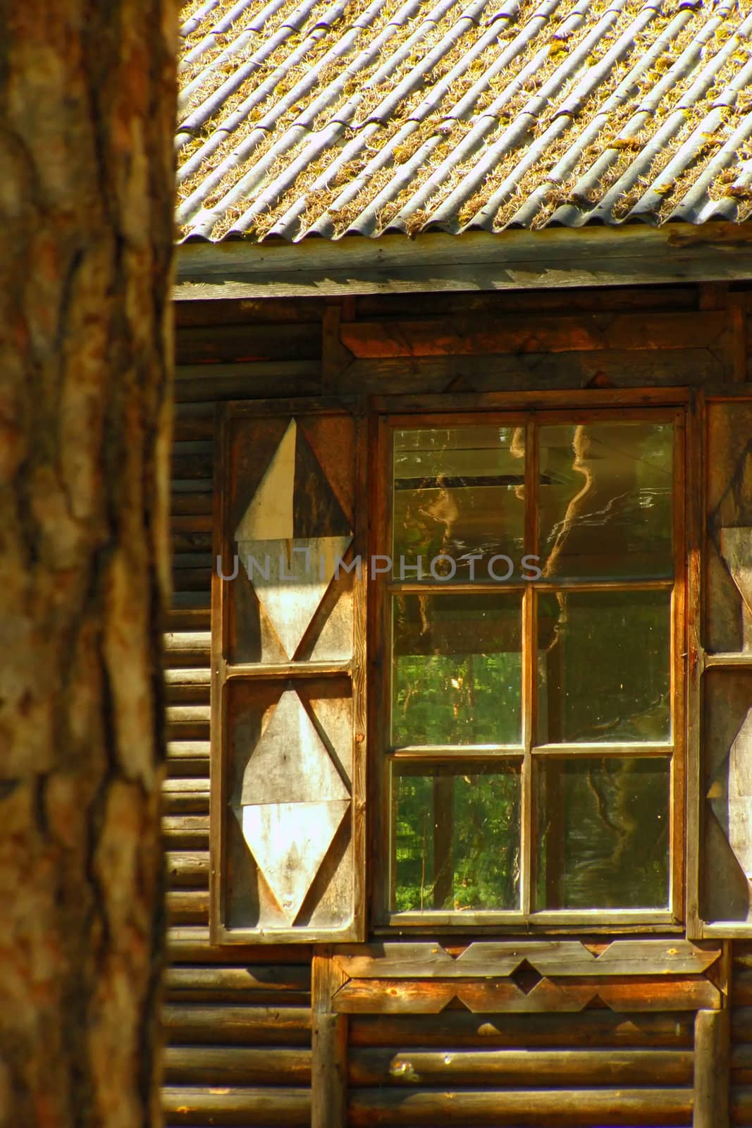 Window with the opened shutters in a wooden frame, which the forest is visible through 