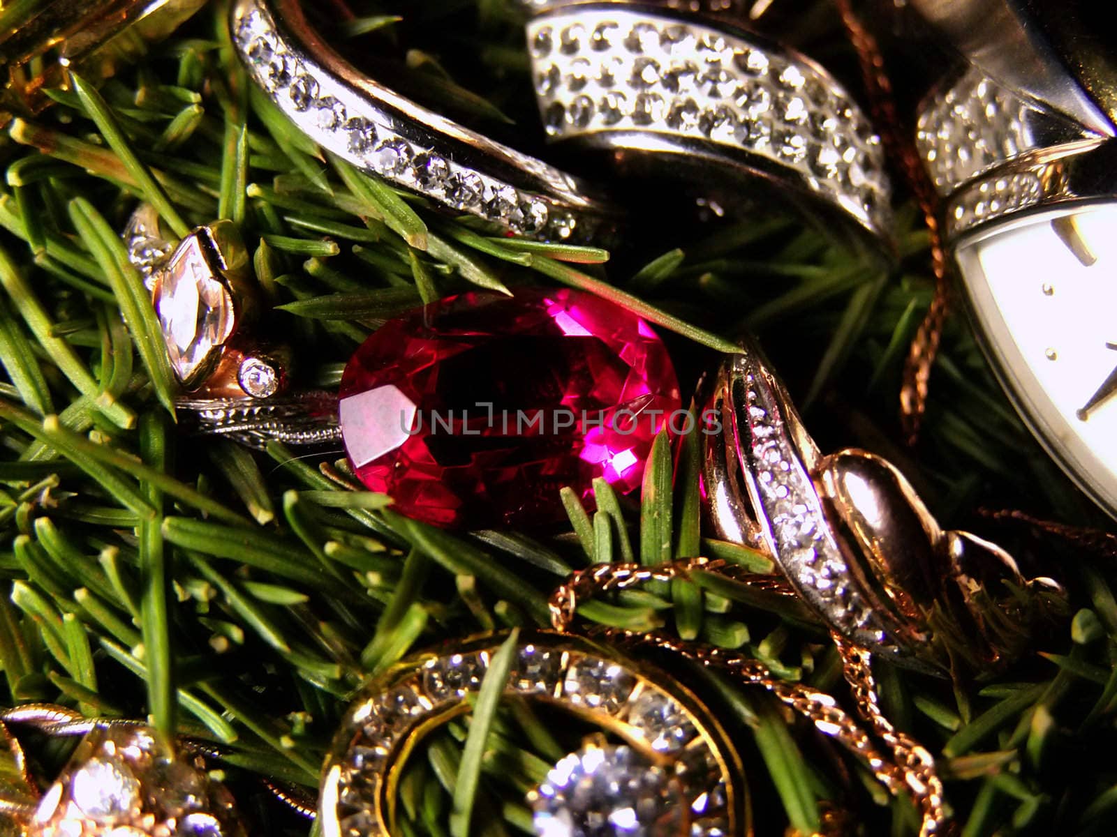 different woman jewelry and clock in fir-tree needles   