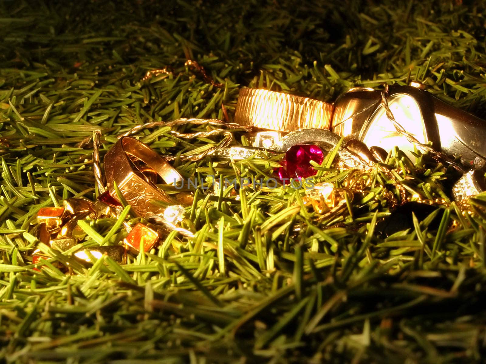 different woman and man jewelry and clock in fir-tree needles   
 