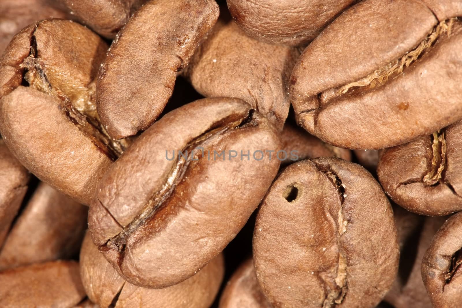 Macro photo of coffee beans