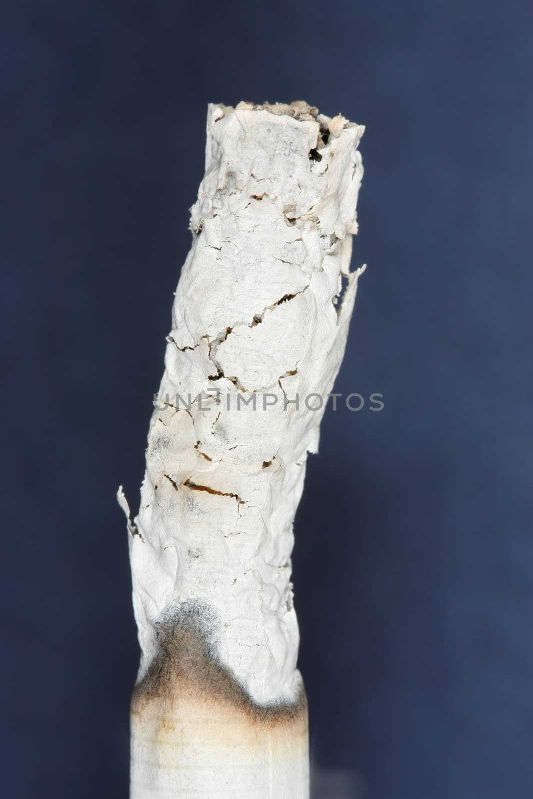 Long ash on burning cigarette 