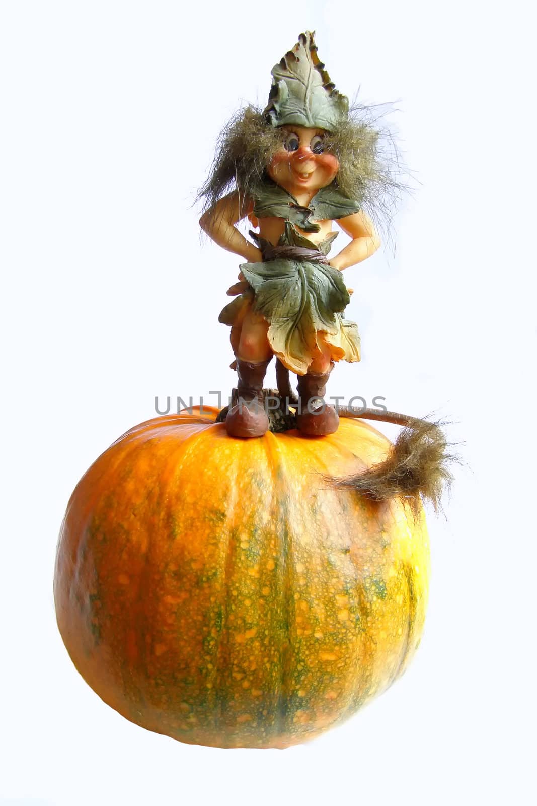 the figurine of gnome standing on a pumpkin 