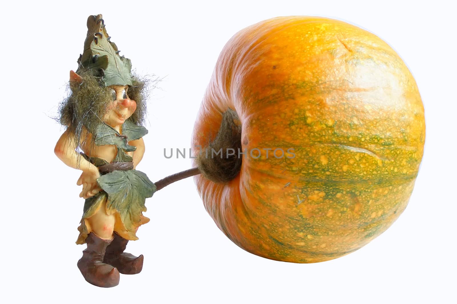 the figurine of gnome standing near the pumpkin  