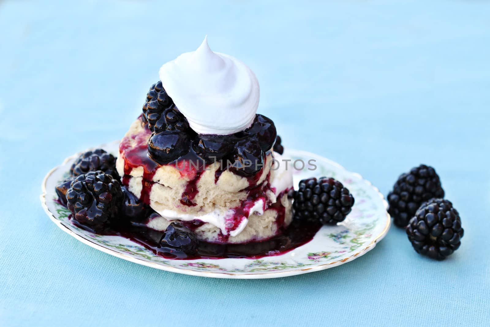 Delicious fresh made biscuits filled and topped with blackberry and blueberry filling, garnished with whipped cream.
