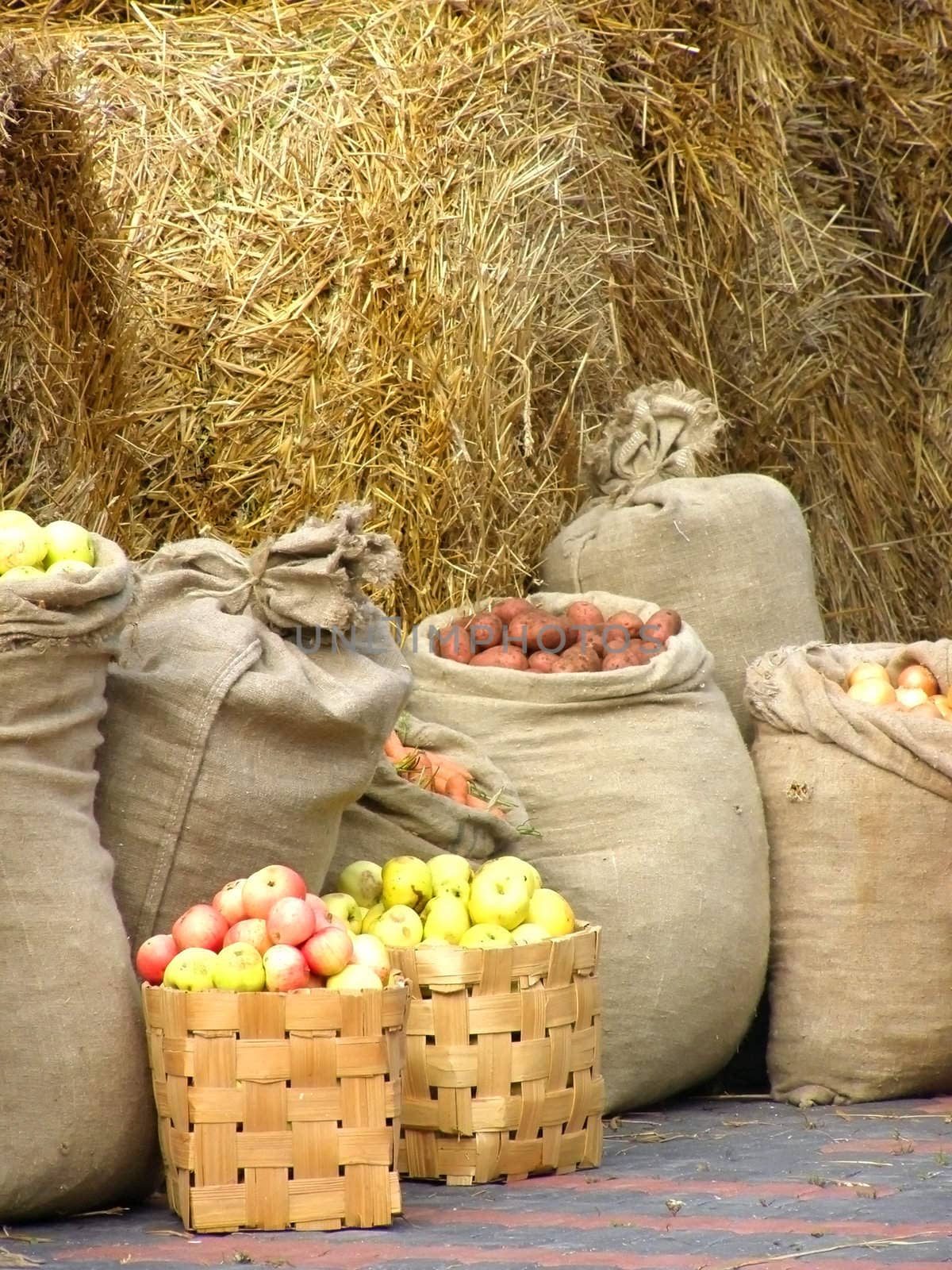 sacks of potatoes, apples,carrots,onion against the hay background