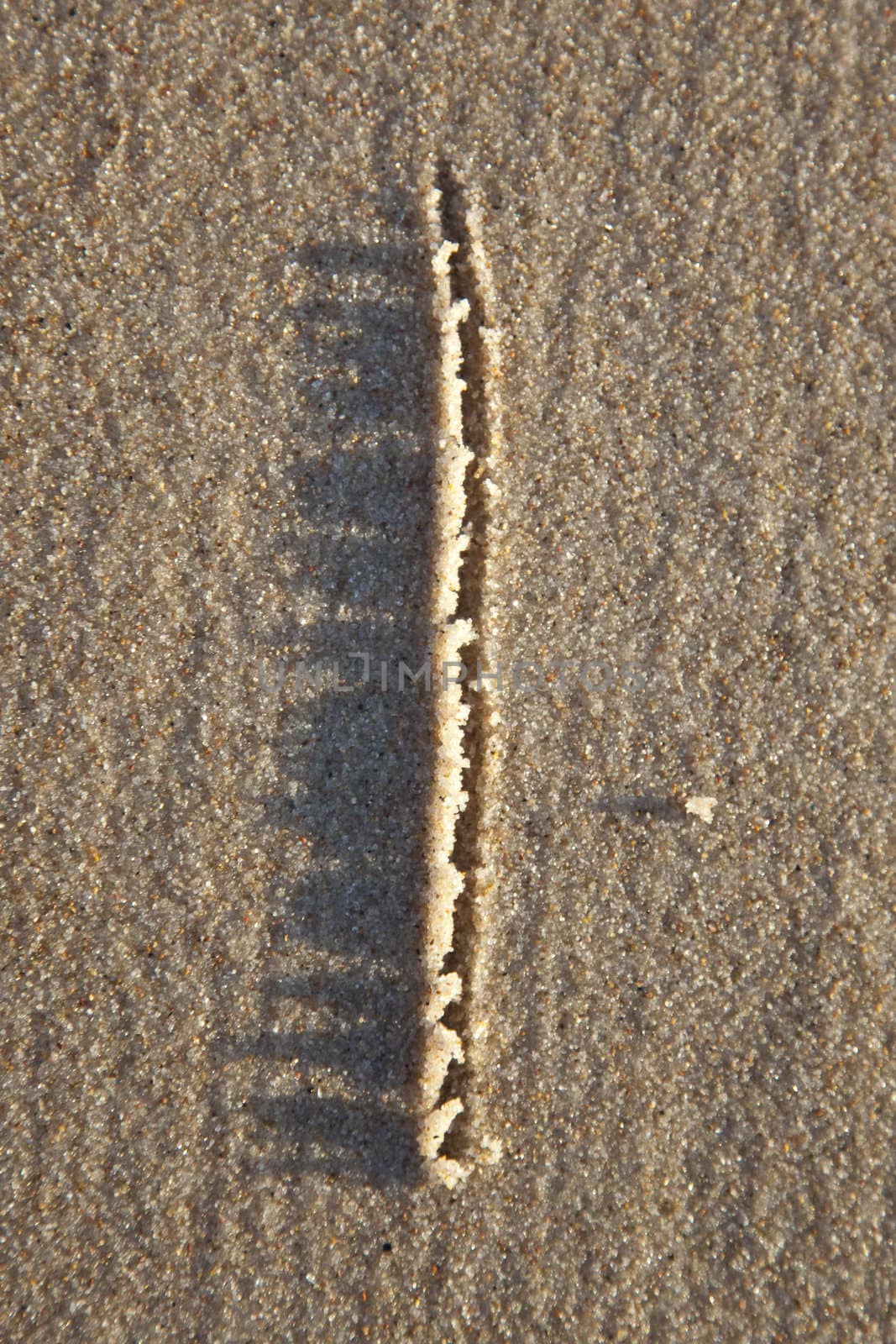 Letter written on wet sand by shiffti