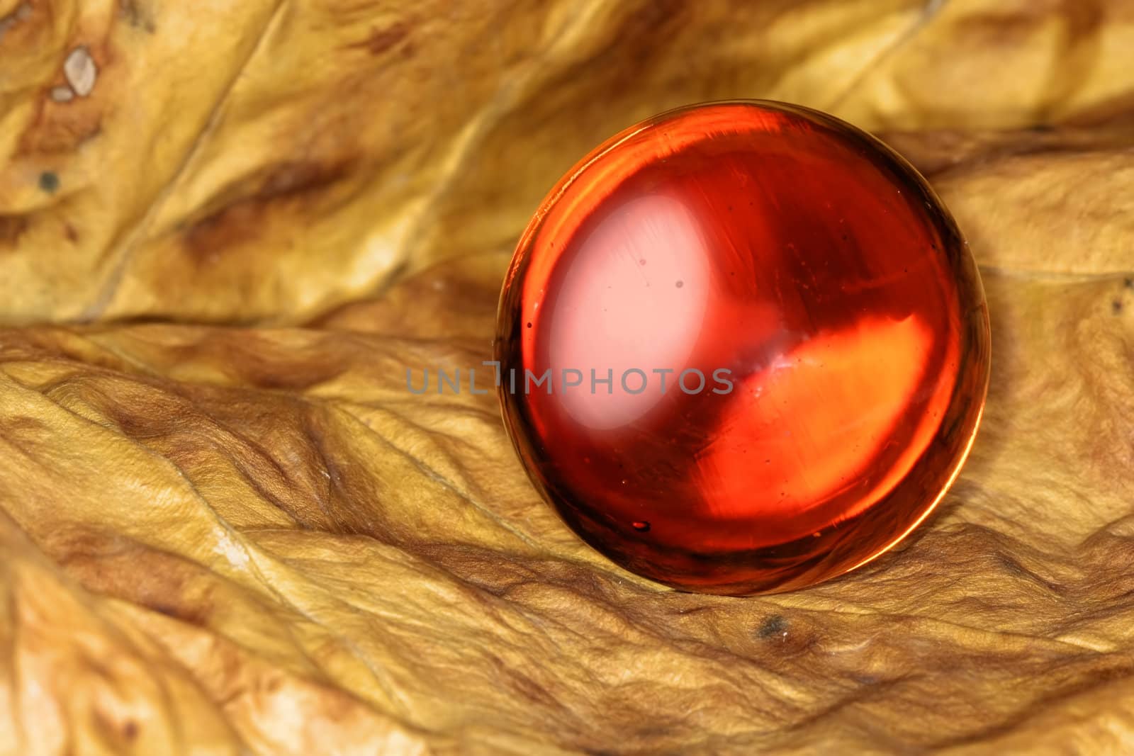 Red glass ball on brown leaf