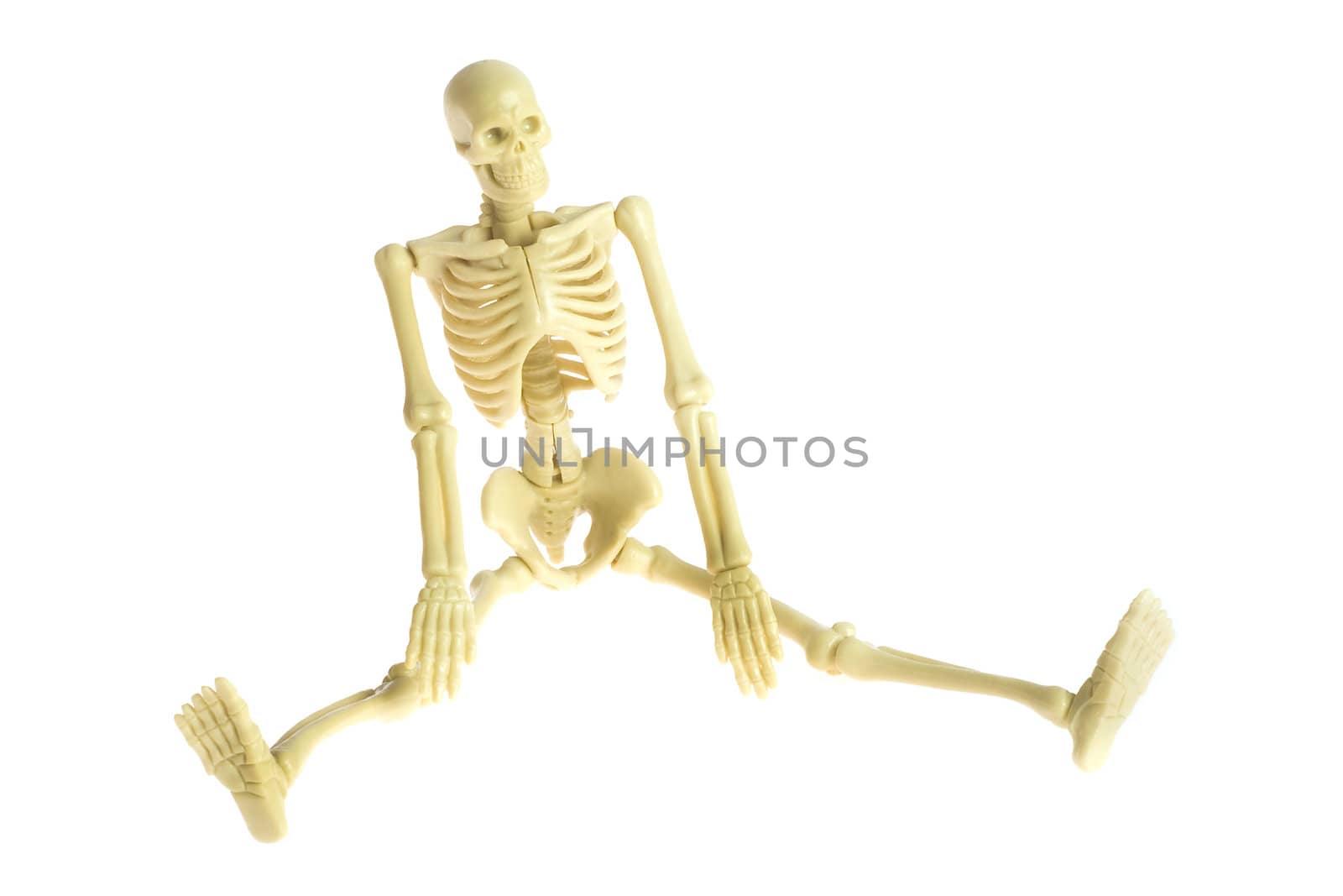 Sitting skeleton with a smile