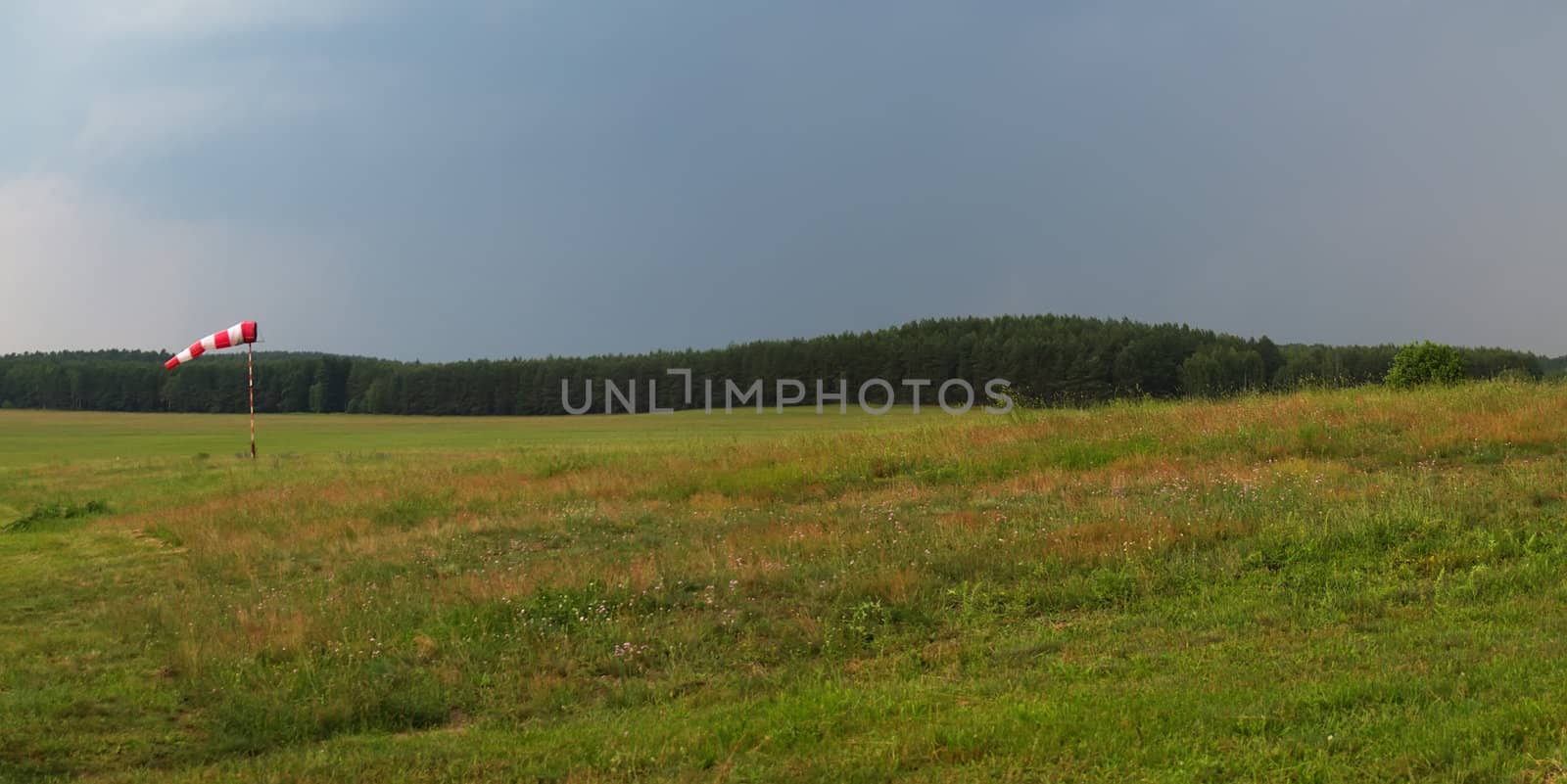 the wind in the autumn landscape