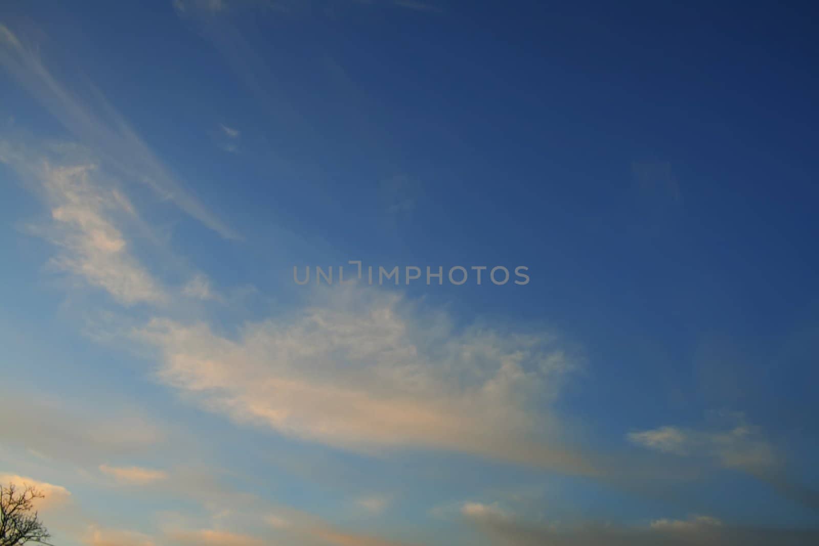 nice blue sky with clouds and the tree in left bottom corner