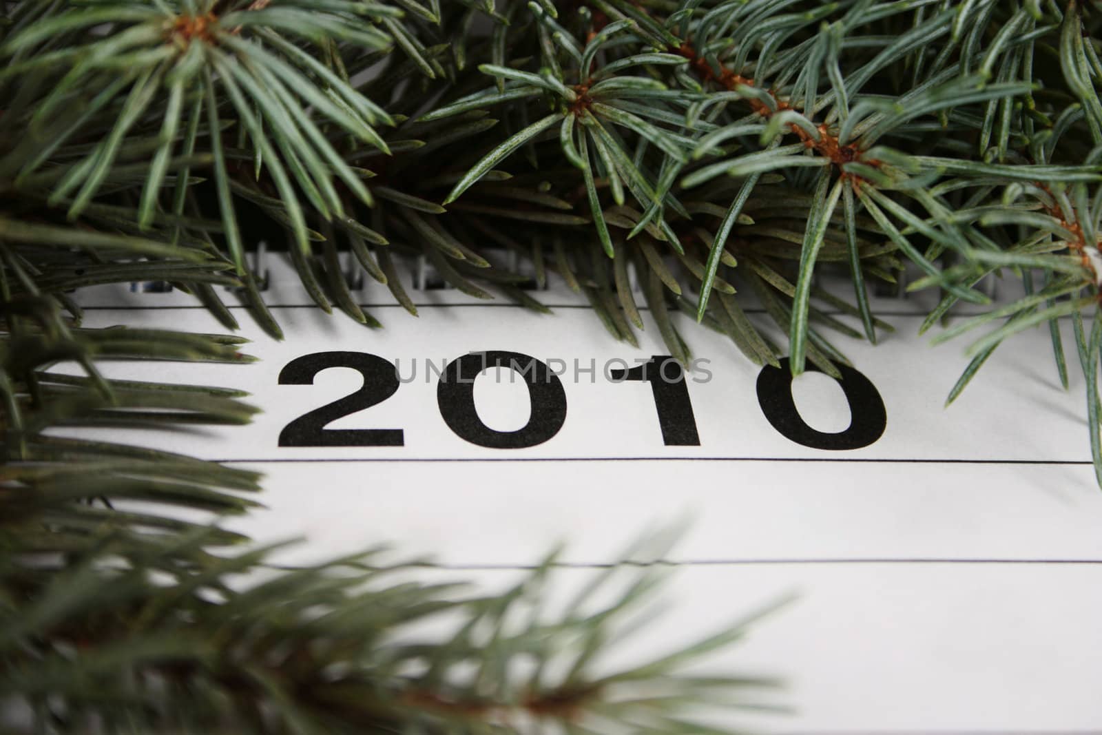 Calendar of 2010 framed with fur-tree branches removed close up