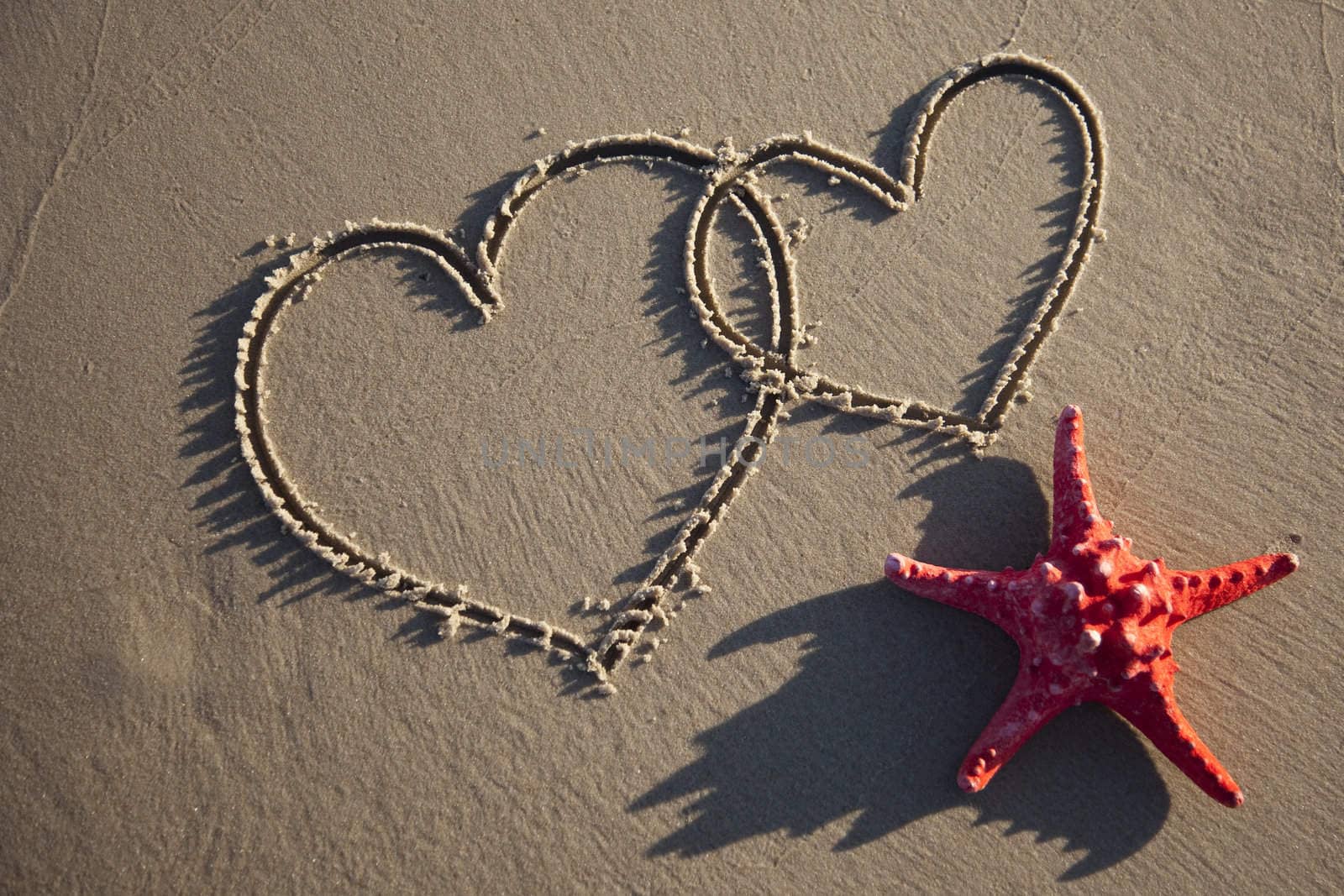 Hearts painted on wet sand by shiffti