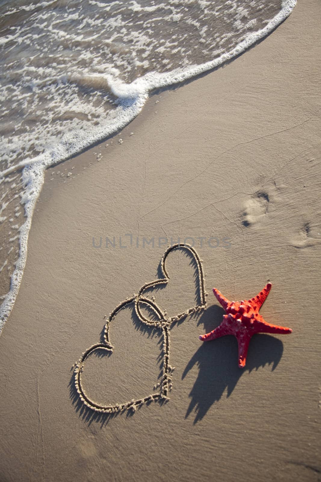 Hearts painted on wet sand by shiffti