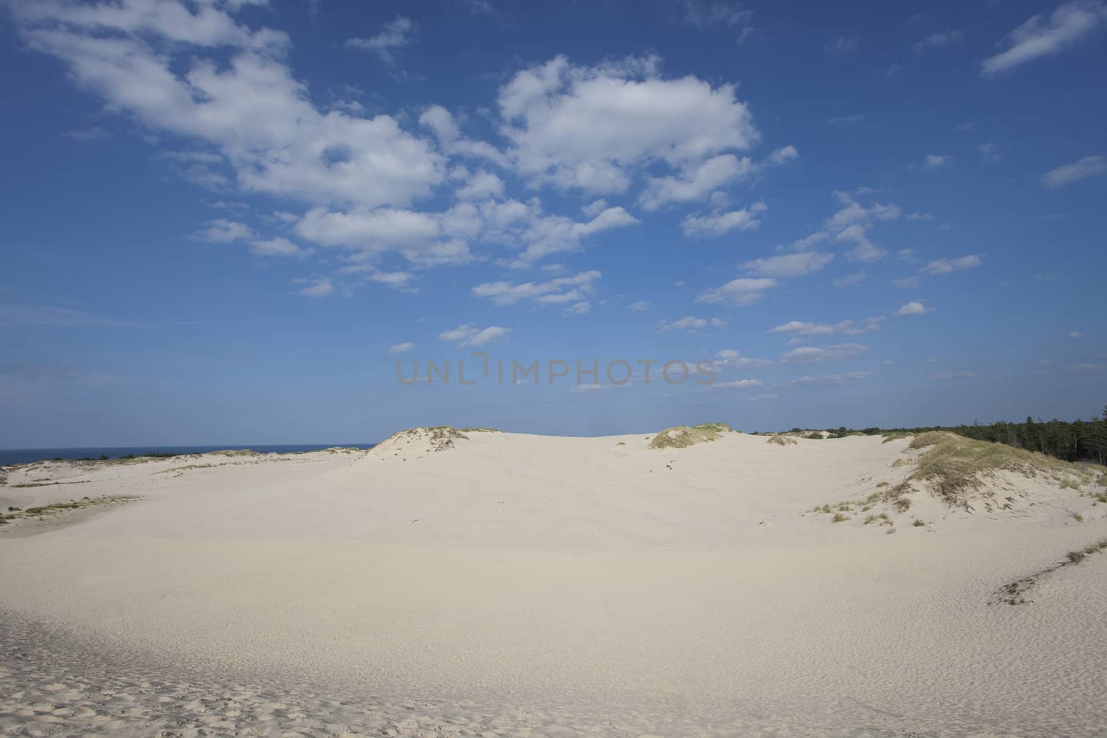 waves of sand - formed by wind and water