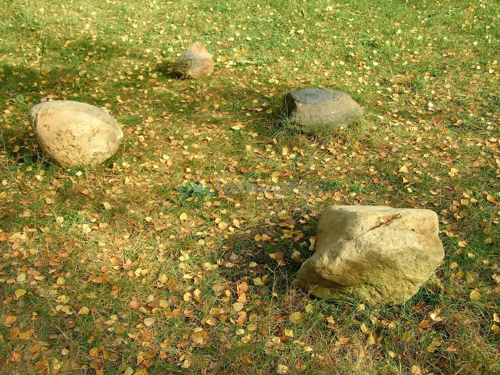 four stones on the forest's grassy plot      