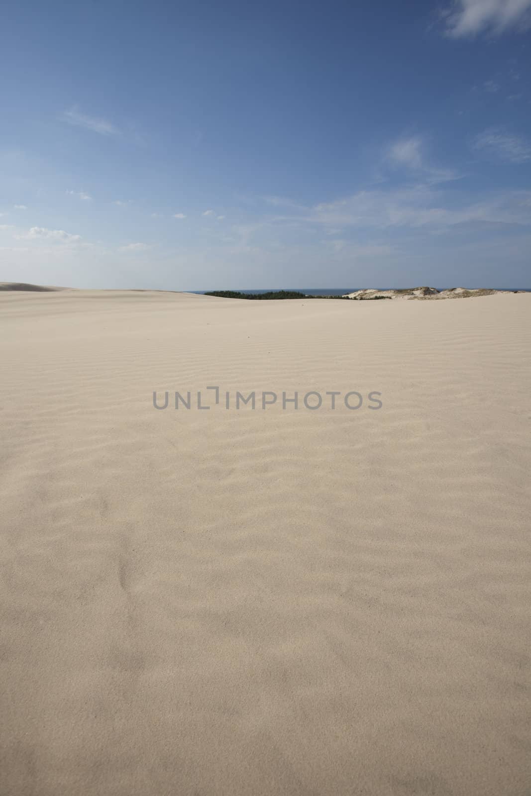 waves of sand - formed by wind and water