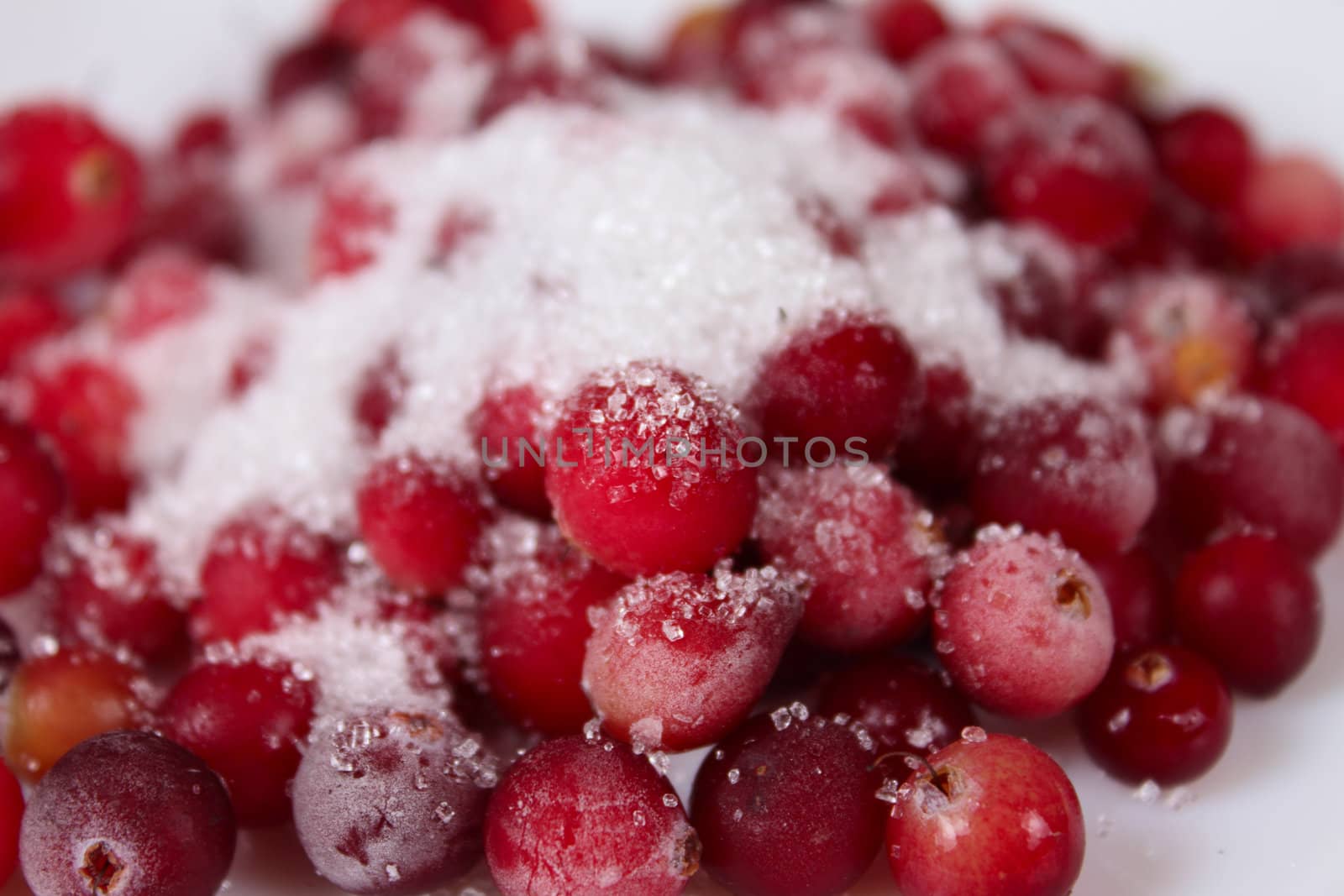 The frozen cowberry sprinkled with sugar removed close up