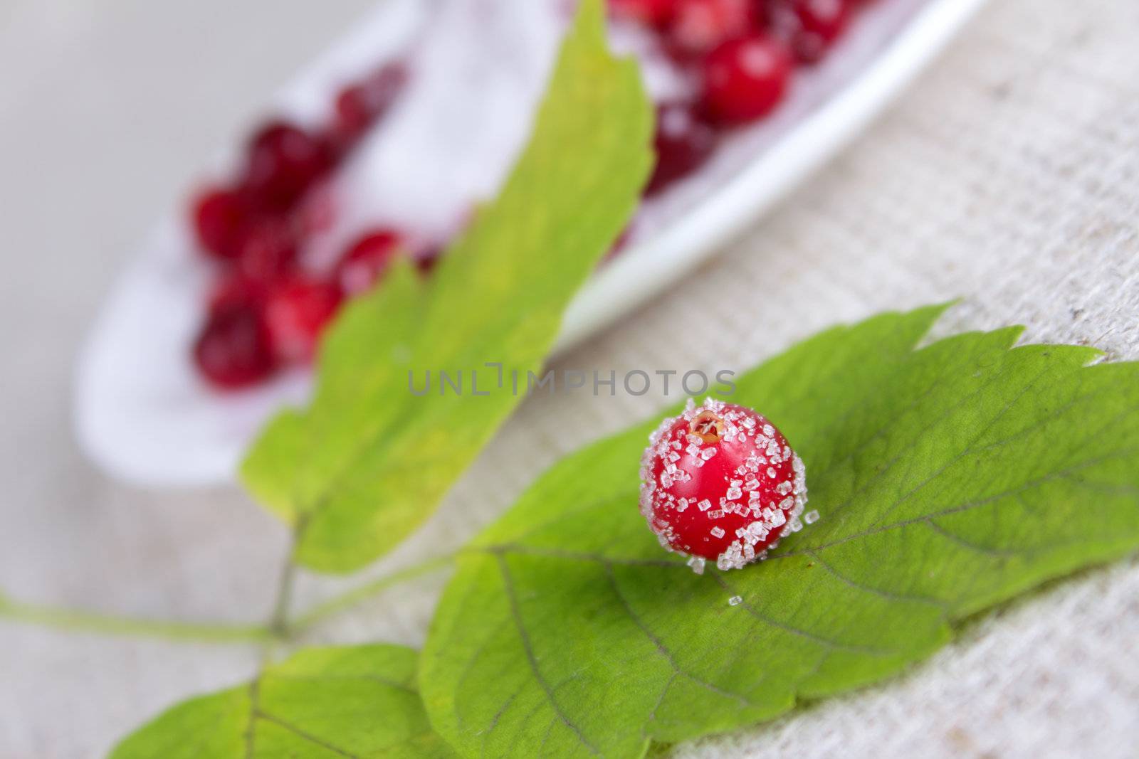 Cowberry berry sprinkled with sugar against a plate removed close up