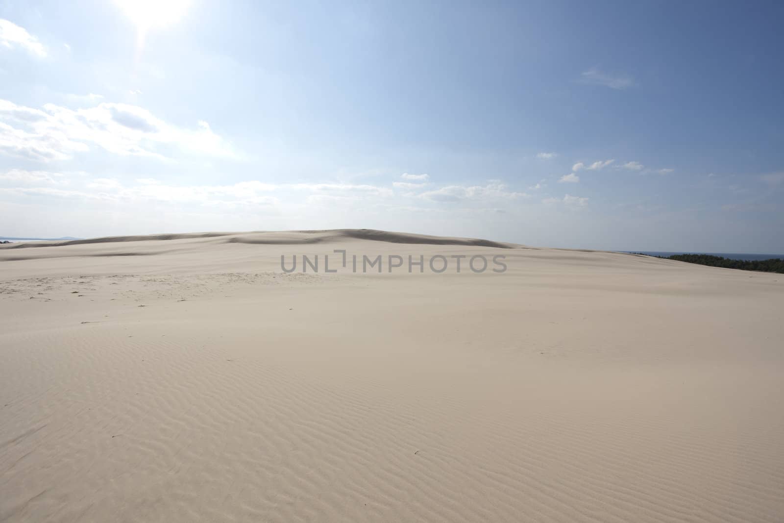 waves of sand - formed by wind and water