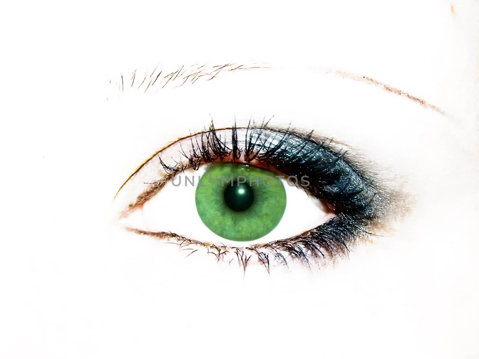 green women eye with evening blue make-up