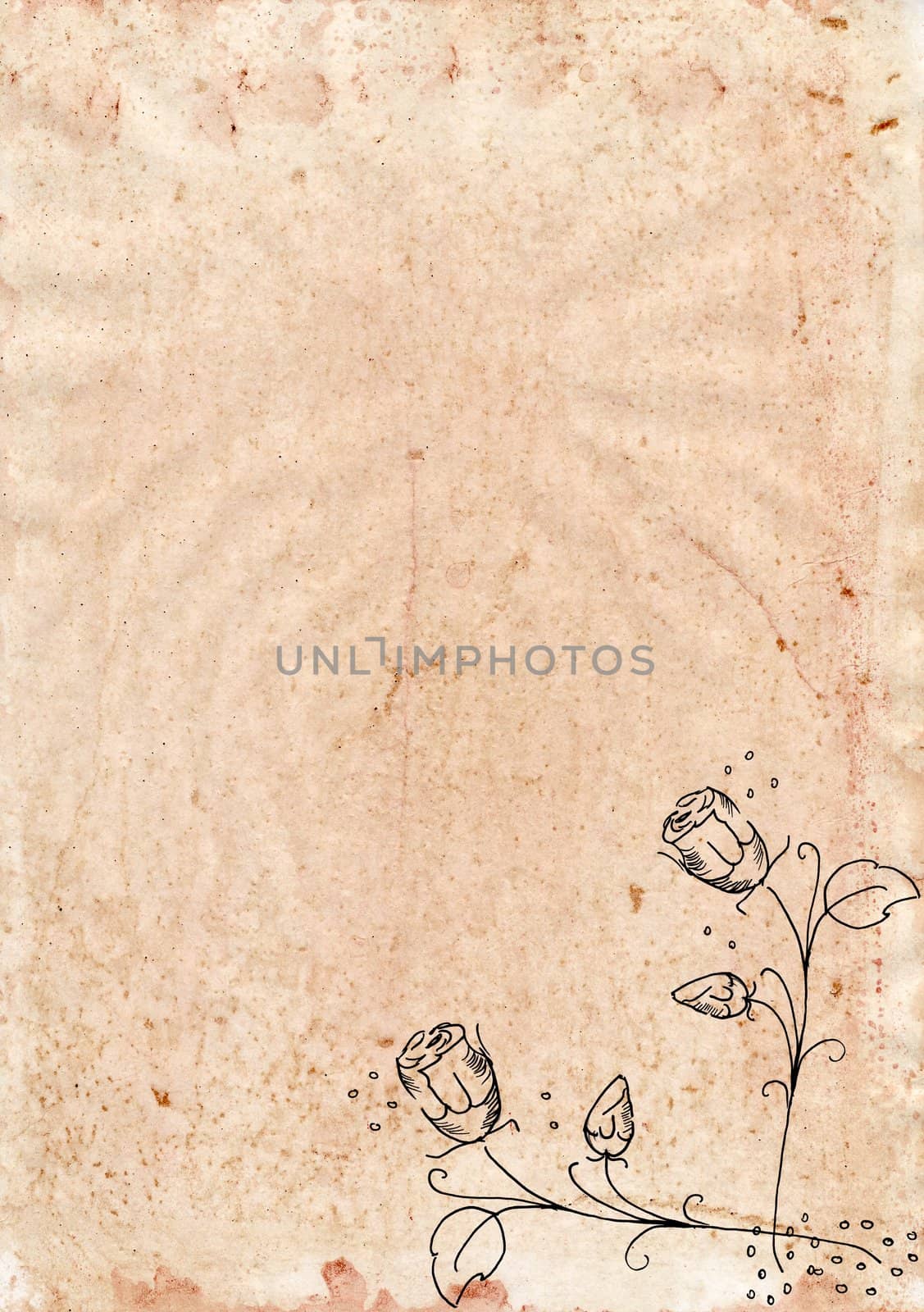 Old rugged paper with roses in corner