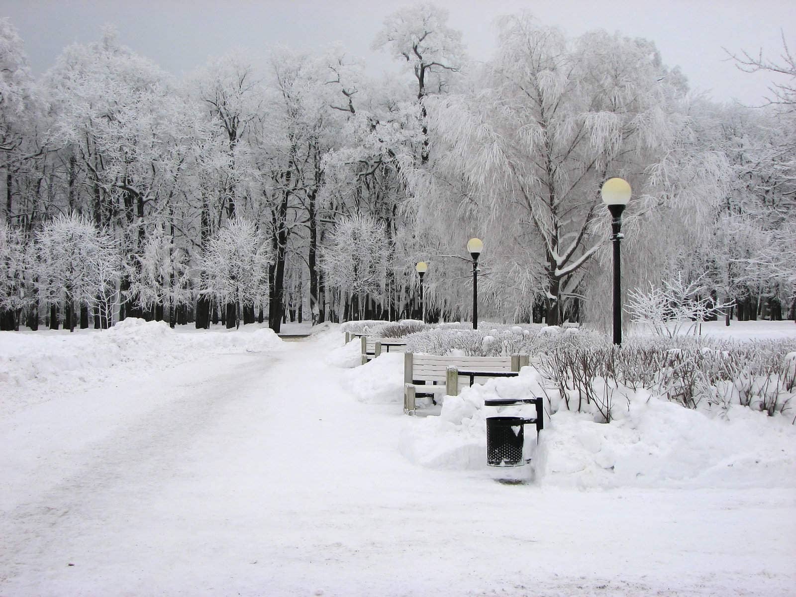 Snow covered benches and trees in park