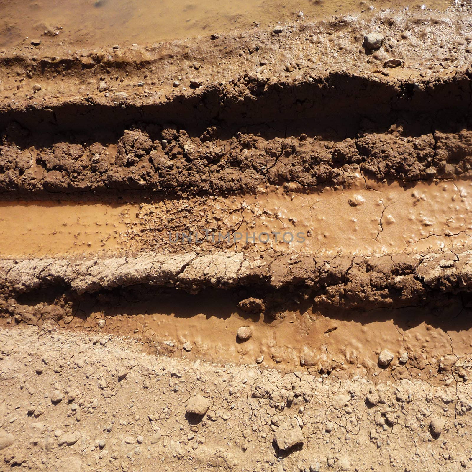 Close up texture of some dried up mud.