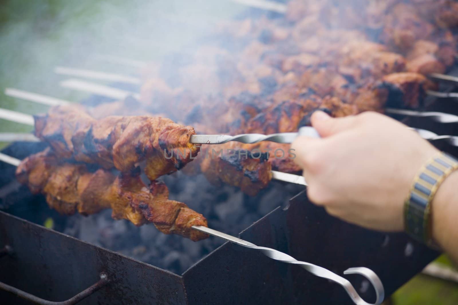 Tasty shish kebab on household picnic