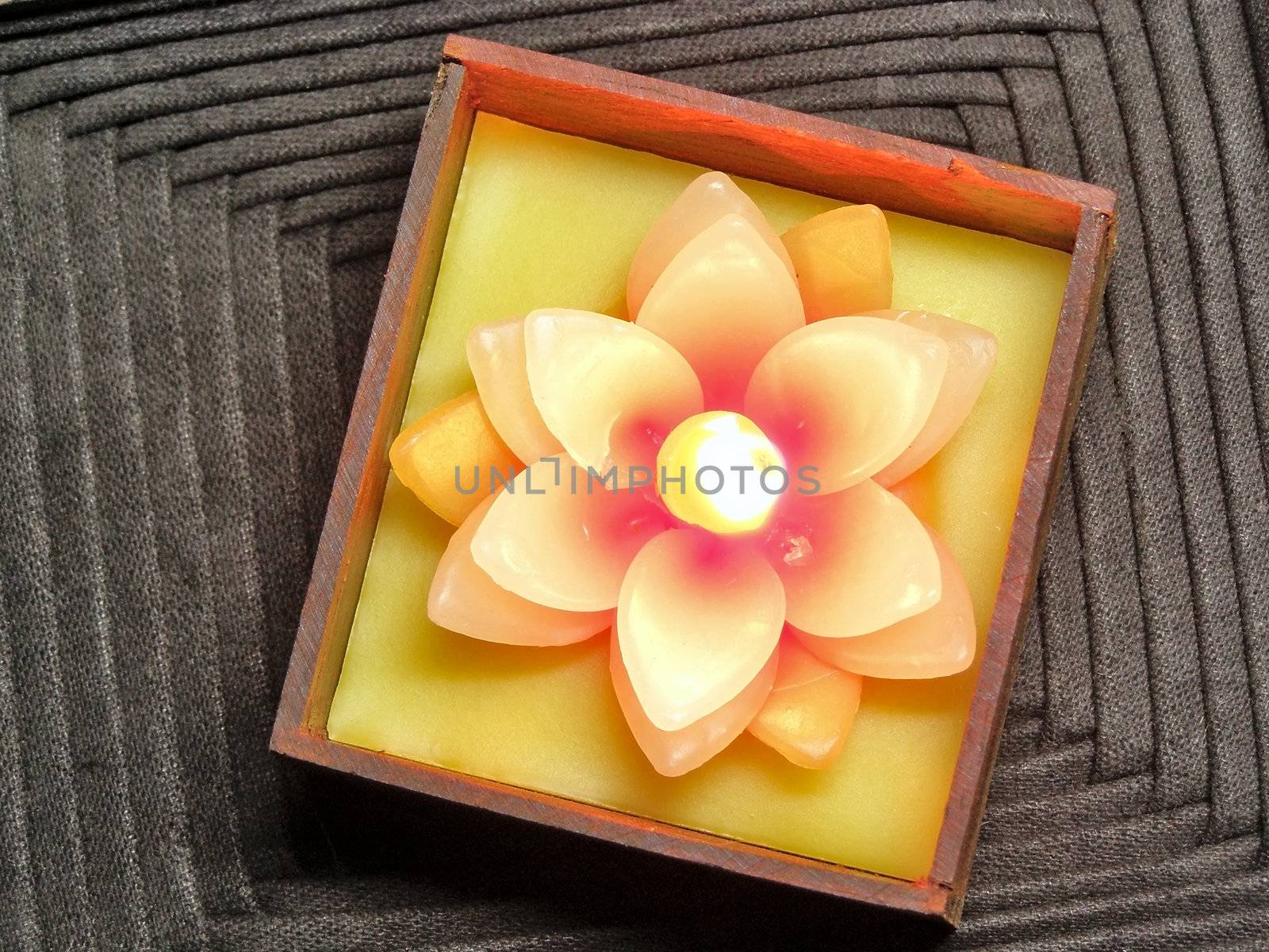 flower candle by SNR