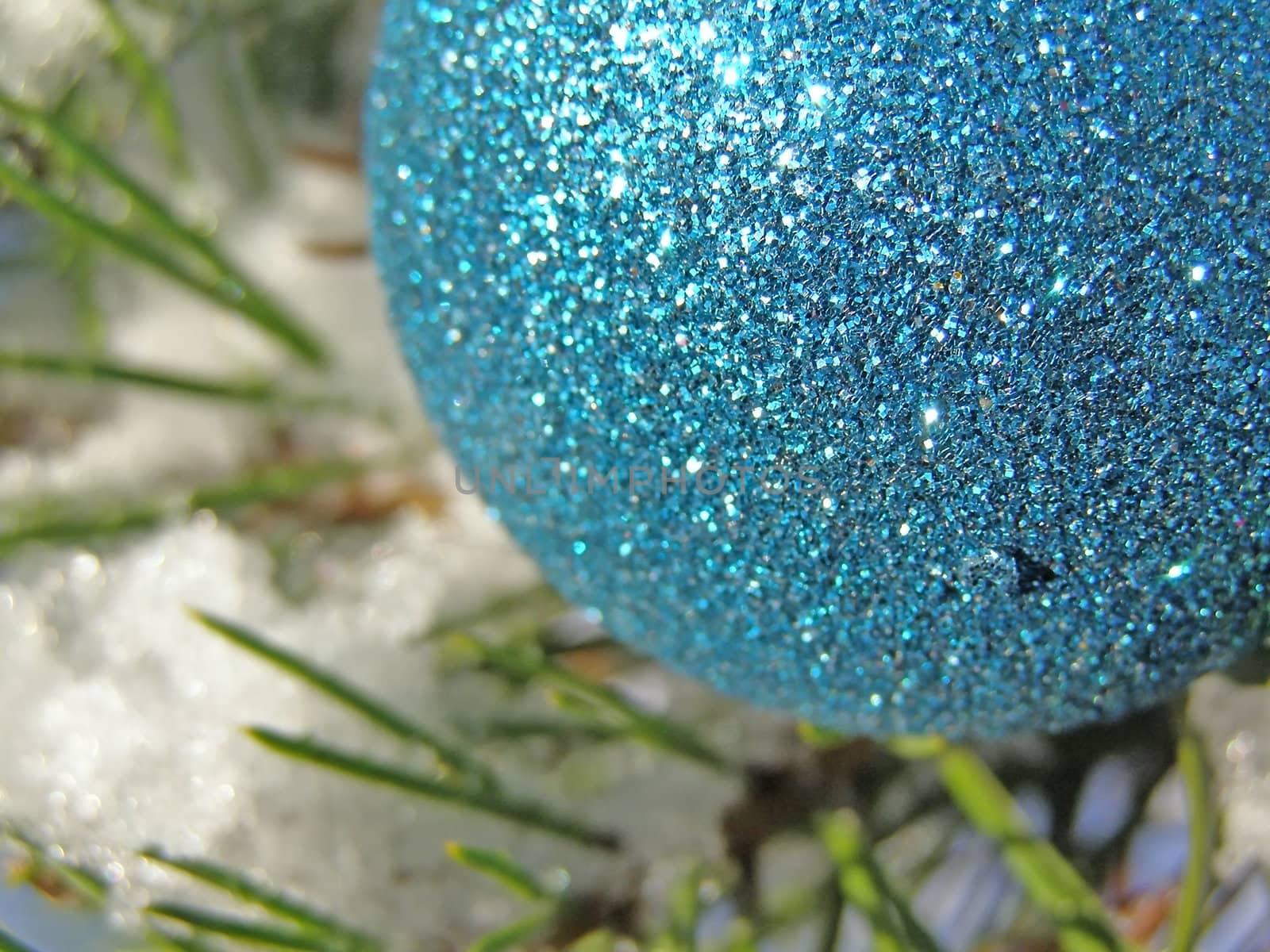 decoration blue ball on the christmas tree outdoor