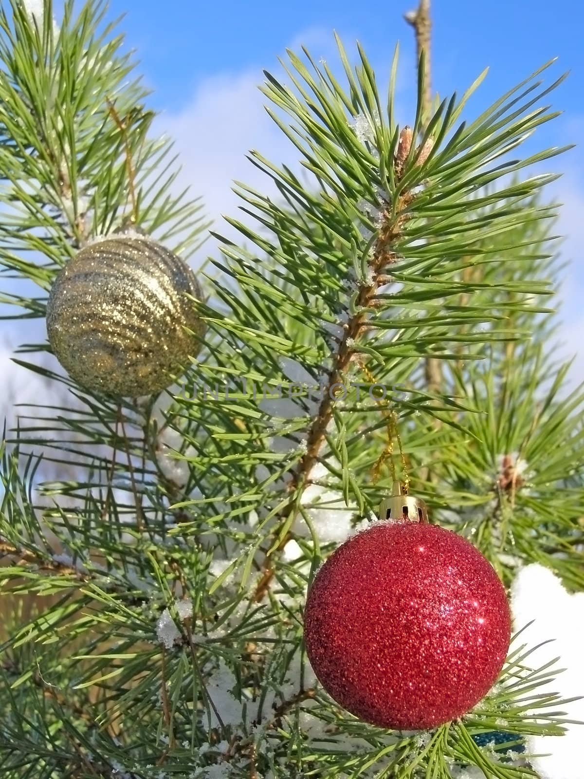 decoration balls on the christmas tree outdoor