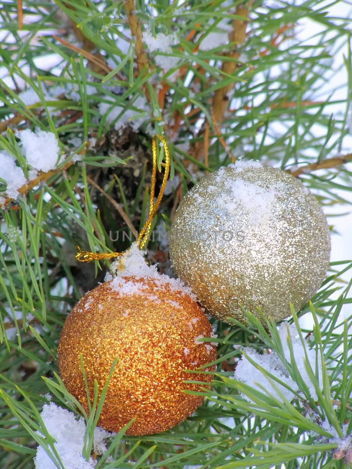 two decoration balls on the christmas tree outdoor
