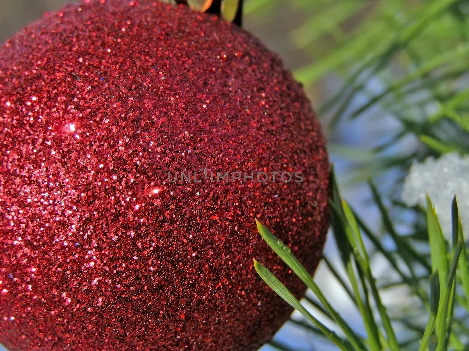 decoration ball on the christmas tree outdoor