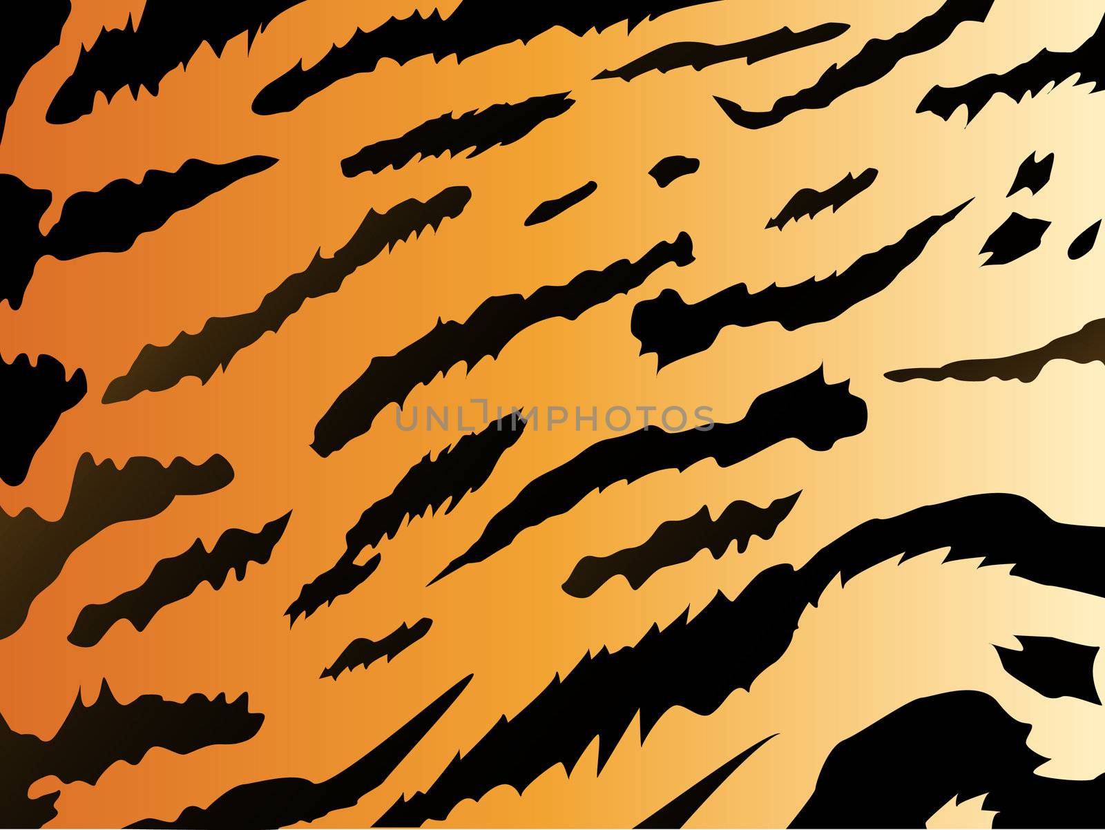 tiger stile background