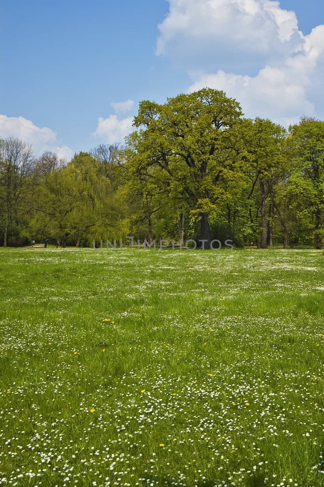 Park in Warsaw