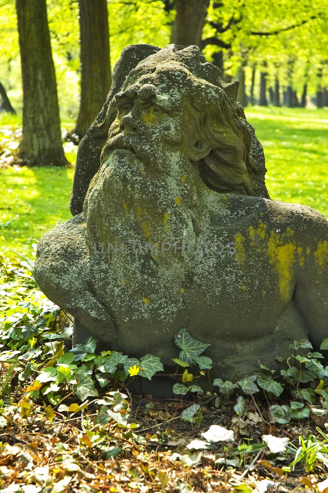 Stone Greybeard in Warsaw park