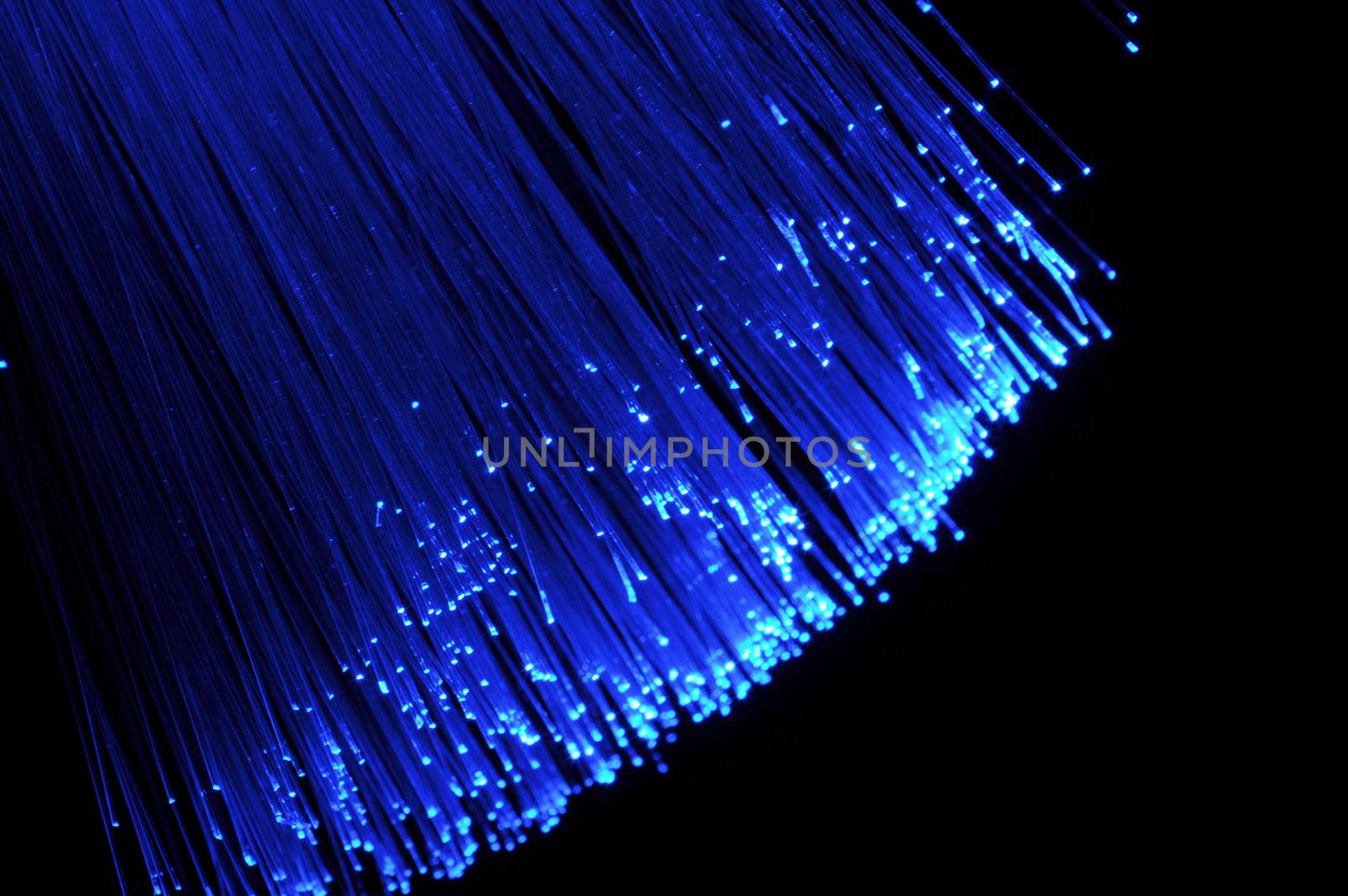 fiber optic showing data or internet communication concept