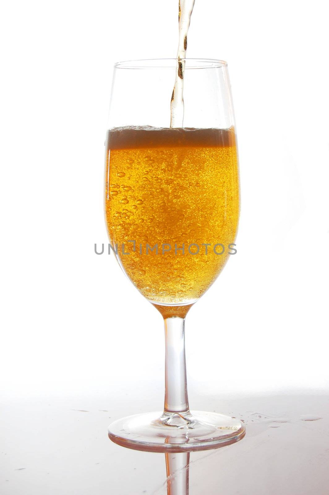 fresh and cold beer on white background