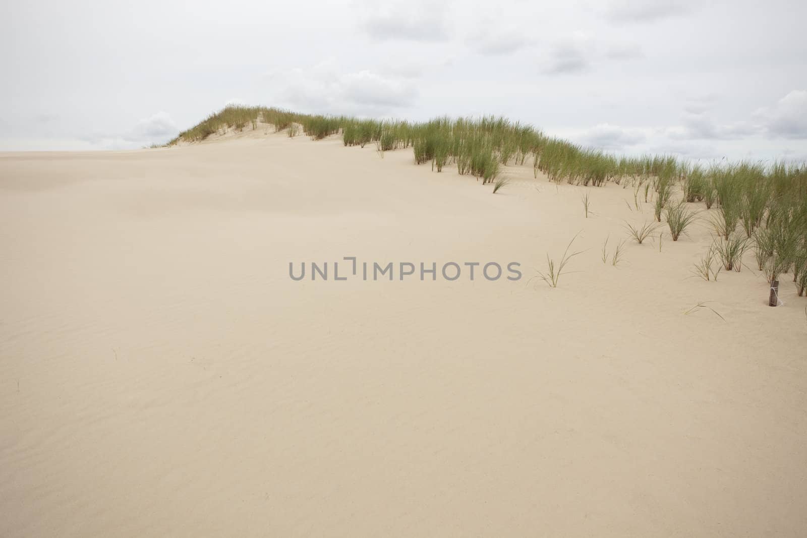 waves of sand - formed by wind and water