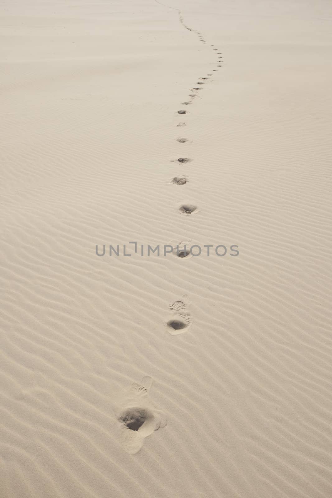 Waves of sand - formed by wind and water