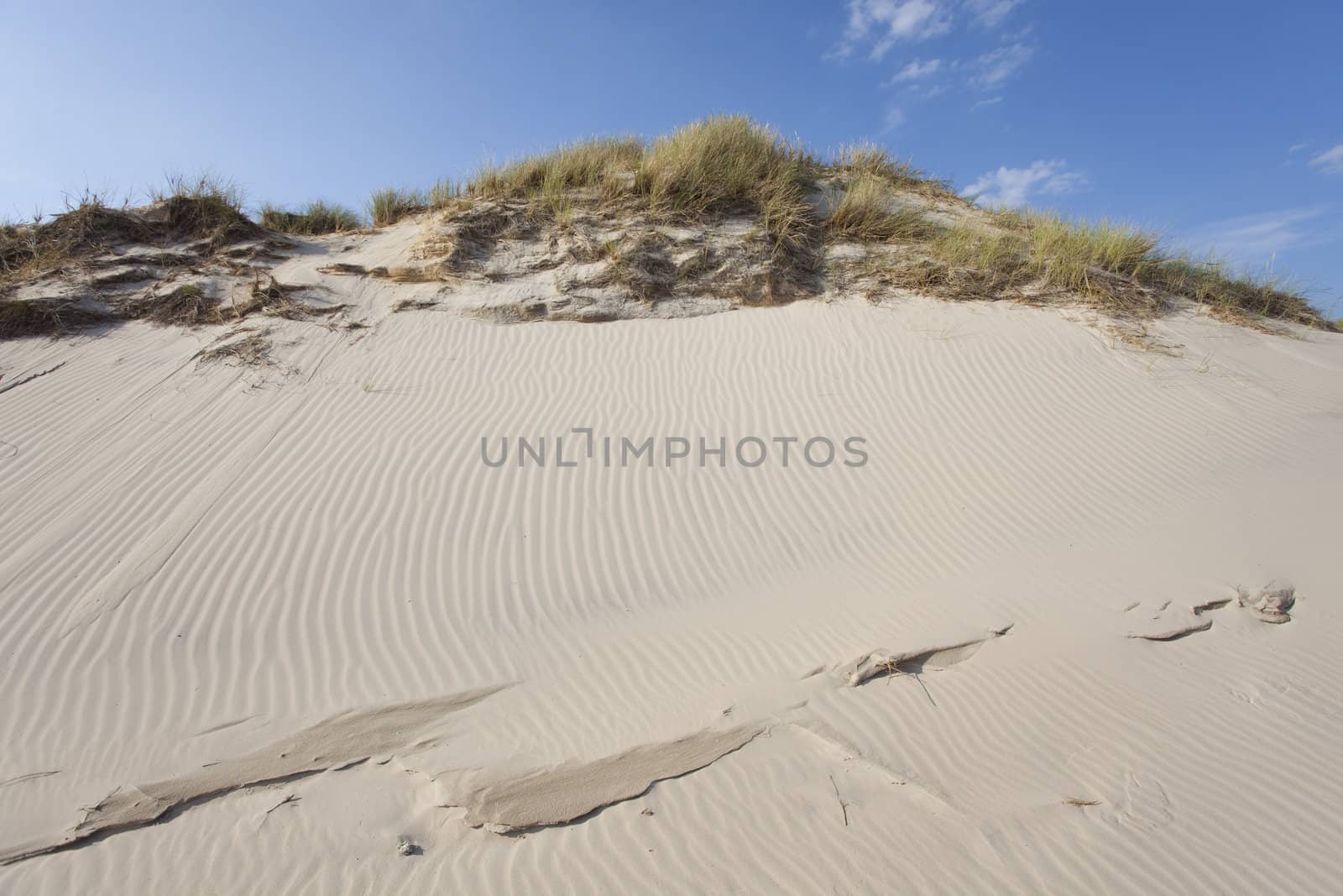 Waves of sand - formed by wind and water