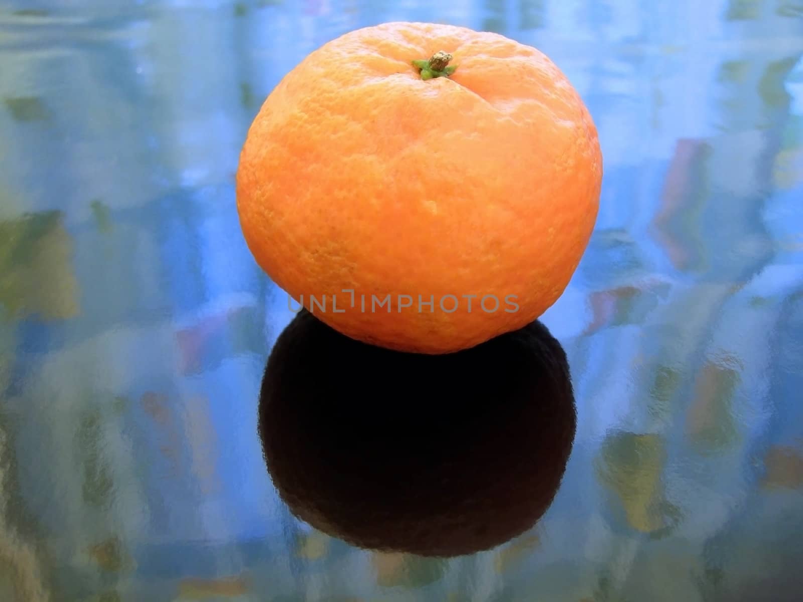 Single orange mandarin against the blue background     