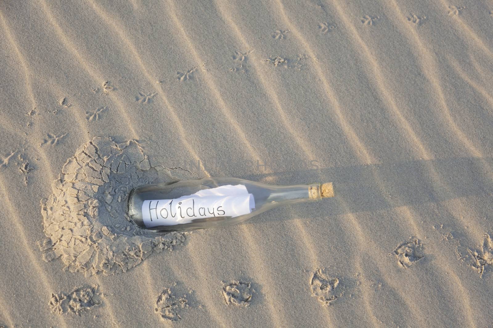 A clear glass bottle washed up on the beach