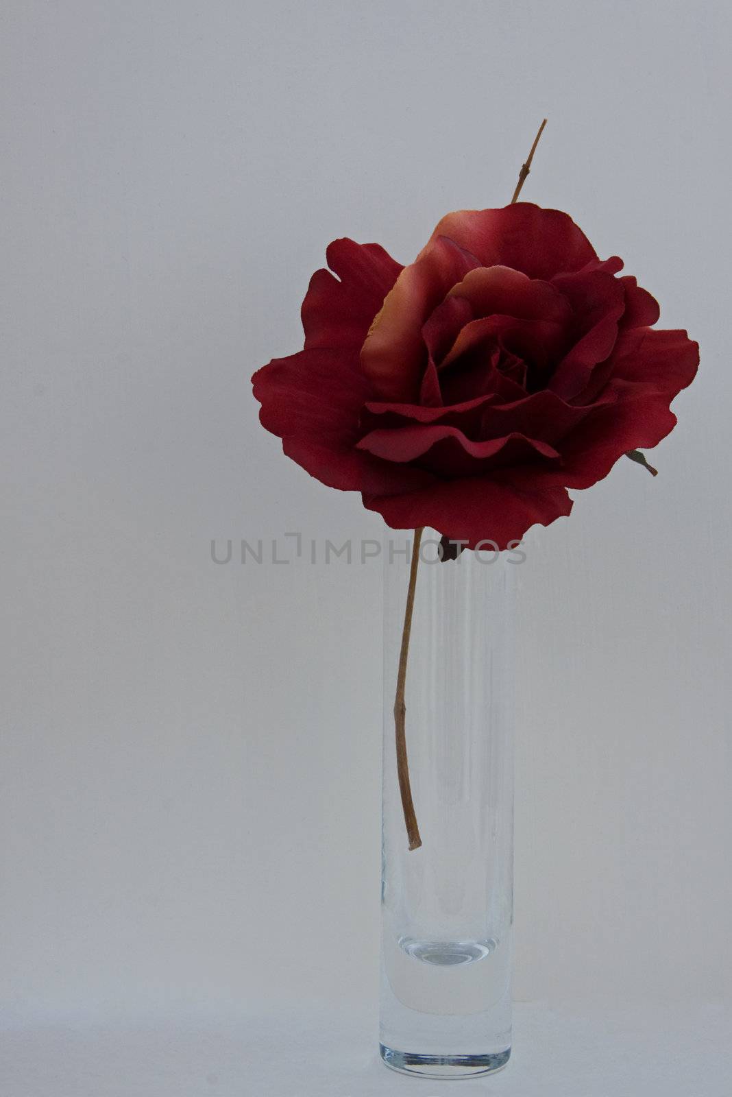 Silk rose in a bud vase