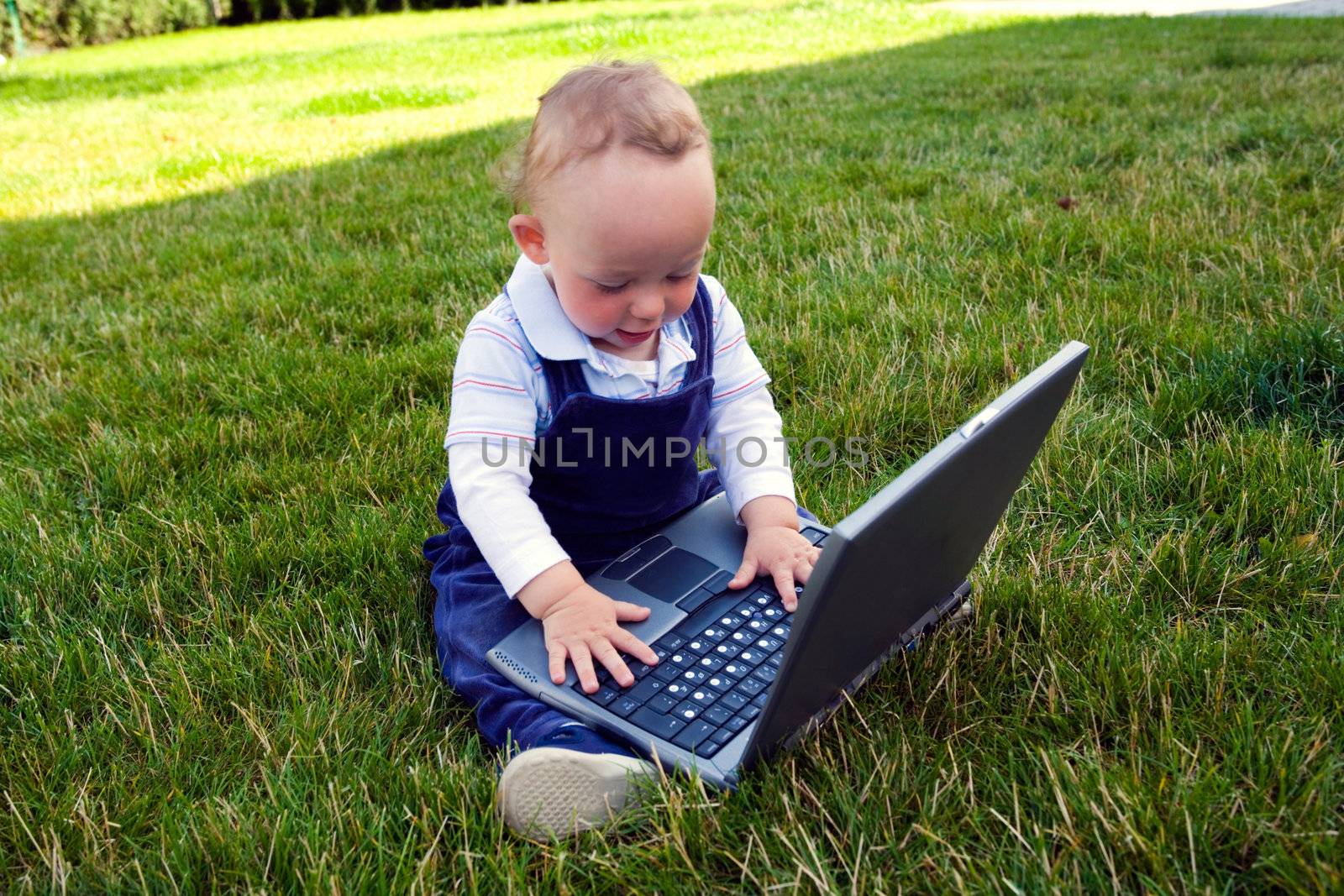 Baby study on computer