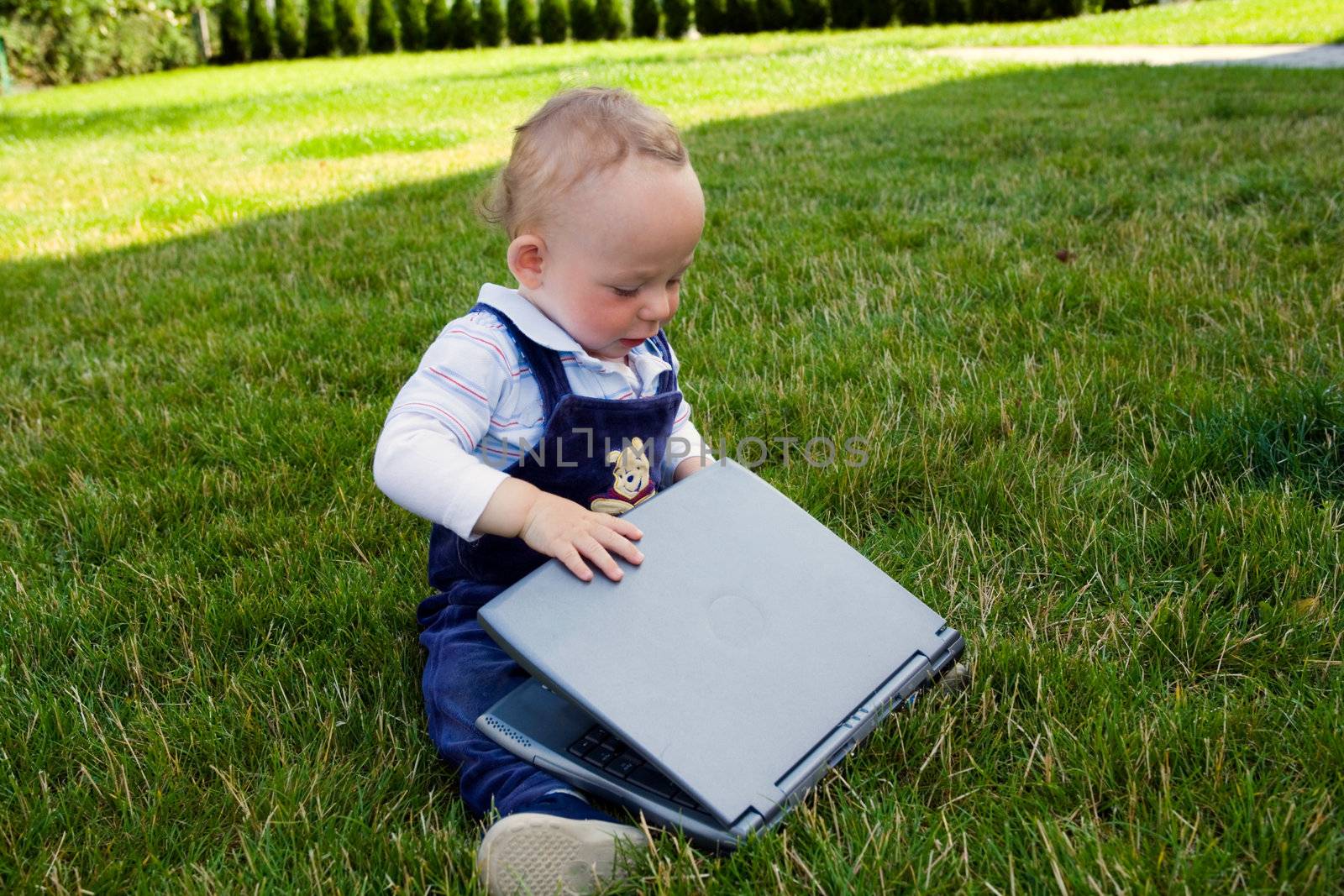 Baby study on computer