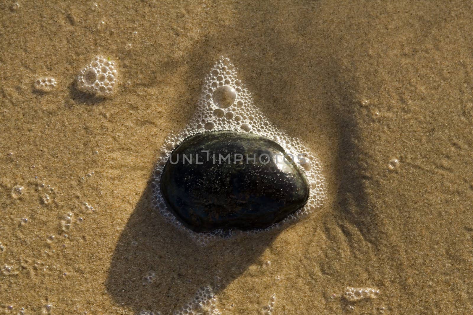  sea-sand, sign, texture, trace, track, beach