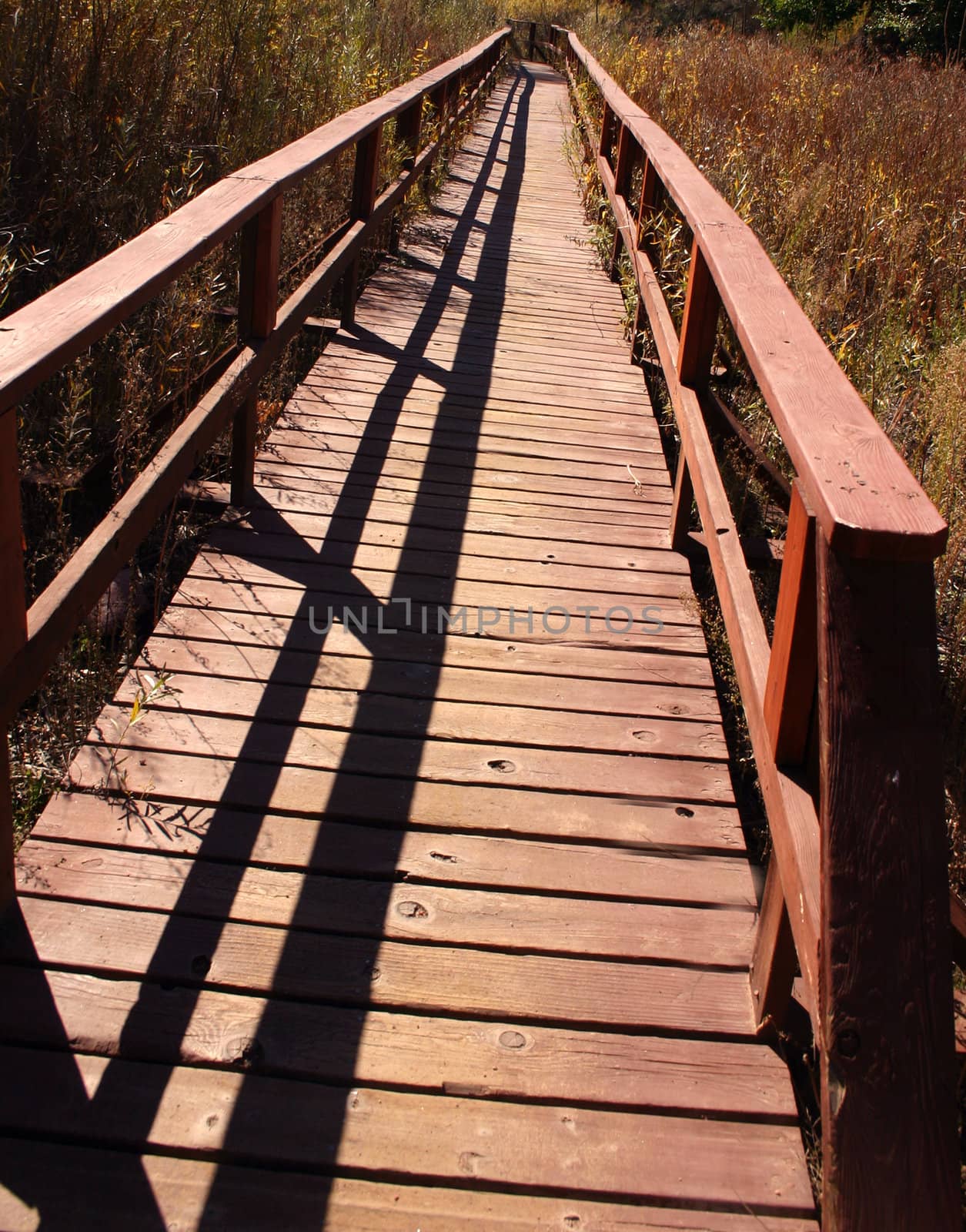 Wooden pedestrian bridge over marshy area on the Riverwalk