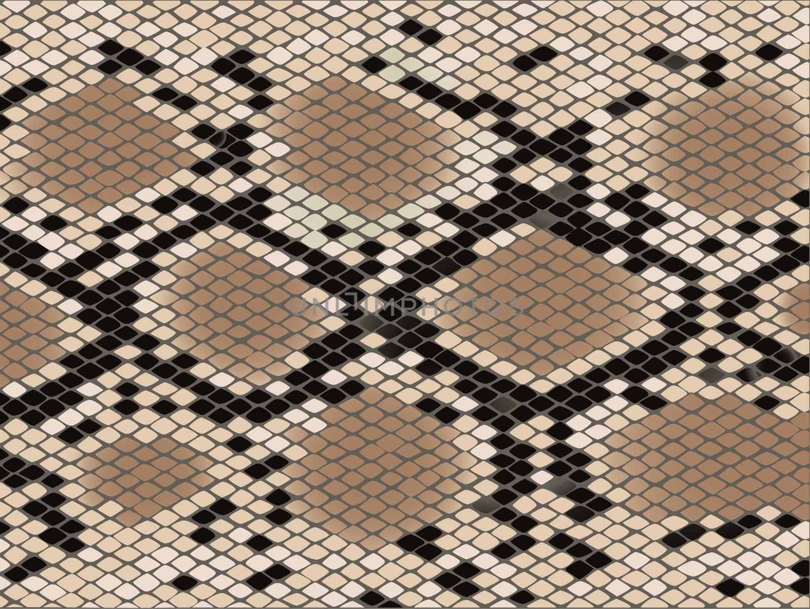 Snake skin with the pattern lozenge form